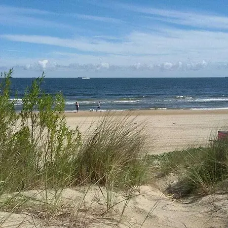 Komfortappartement Homas